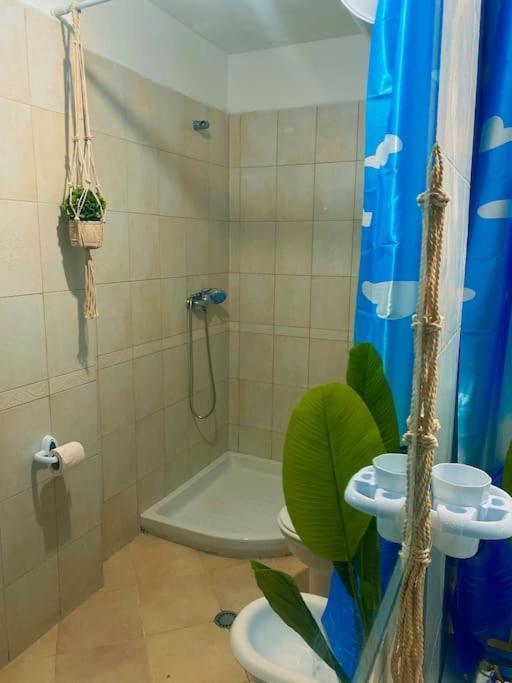 City Central Amazona Appartment Tirana Esterno foto